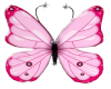 Sparkle Butterfly