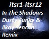 "In The Shadows" (remix)