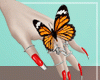 Butterfly Animated