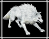 White Wolf Pet