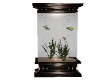 Reflect Fish Tank