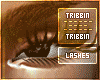Tribbin Top Lashes