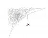 Gig-Spider Web Ani