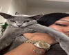 𝓥. Cat Mom