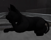 FG~ Animated Black Cat
