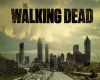 The walking dead Lori