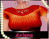 AXL Skirt & Sweater Set