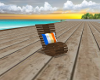 Beach n pool chair