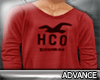 'A' Red Hollister sleeve