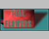 Teal Flowers Club