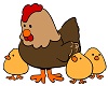 Little Pink Farm Hen Pic