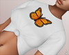 $ Butterfly Top