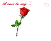 a rose to say..ilu