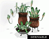 *M* Unique Plant