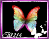 T♥ Rainbow Butterflies