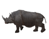 Wild Rhino Furniture