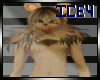 ~Lion Fur~