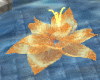 flaming Lotus Animated