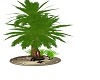 Palm float