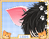 Kids Ears Piggy