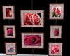 Pink Rose collage