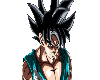 Son Goku