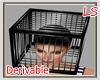 ! Head Cage F Drv