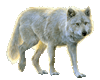 Wolf sticker