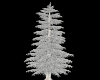 Frostlit Pine Tree