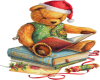 Christmas Bear and Books
