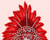 E* Rio Red Crown