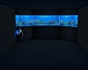Aquarium small