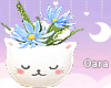 R. Cat Planter - Blue