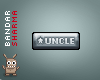 (BS) UNCLE sticker