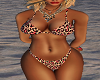 Sexy Leopard Bikini RL
