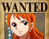NAMI -  wanted