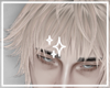 ✦ Cloud