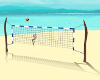 Volley Ball Net Animated
