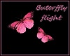 Butterfly pink  flight
