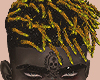 Jungle Locs