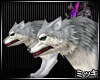 Double Arctic Wolves