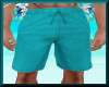 Male Long Shorts Aqua