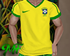 Camiseta Do Brasil