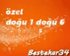 özel