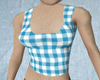 blue gingham tanktop