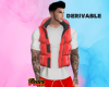 F. SHIRT + VEST