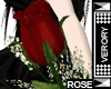 [V] Valentine *R* ROSE