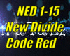 *(NED) New Divide*