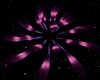 IP Lotus Dj Light