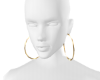S* Gold Earrings